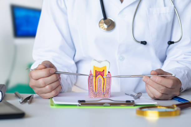 Best Emergency Wisdom Teeth Removal in Austin, AR